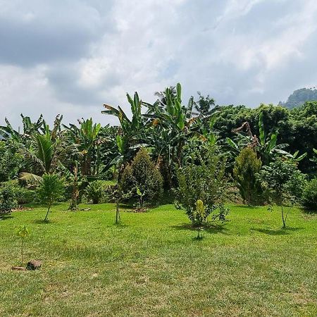Tambun Hillview Cottage 1 المظهر الخارجي الصورة